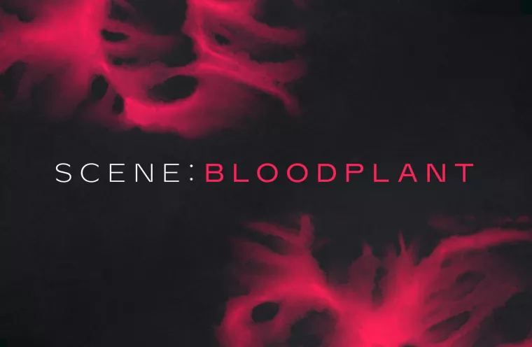 Scene: Bloodplant