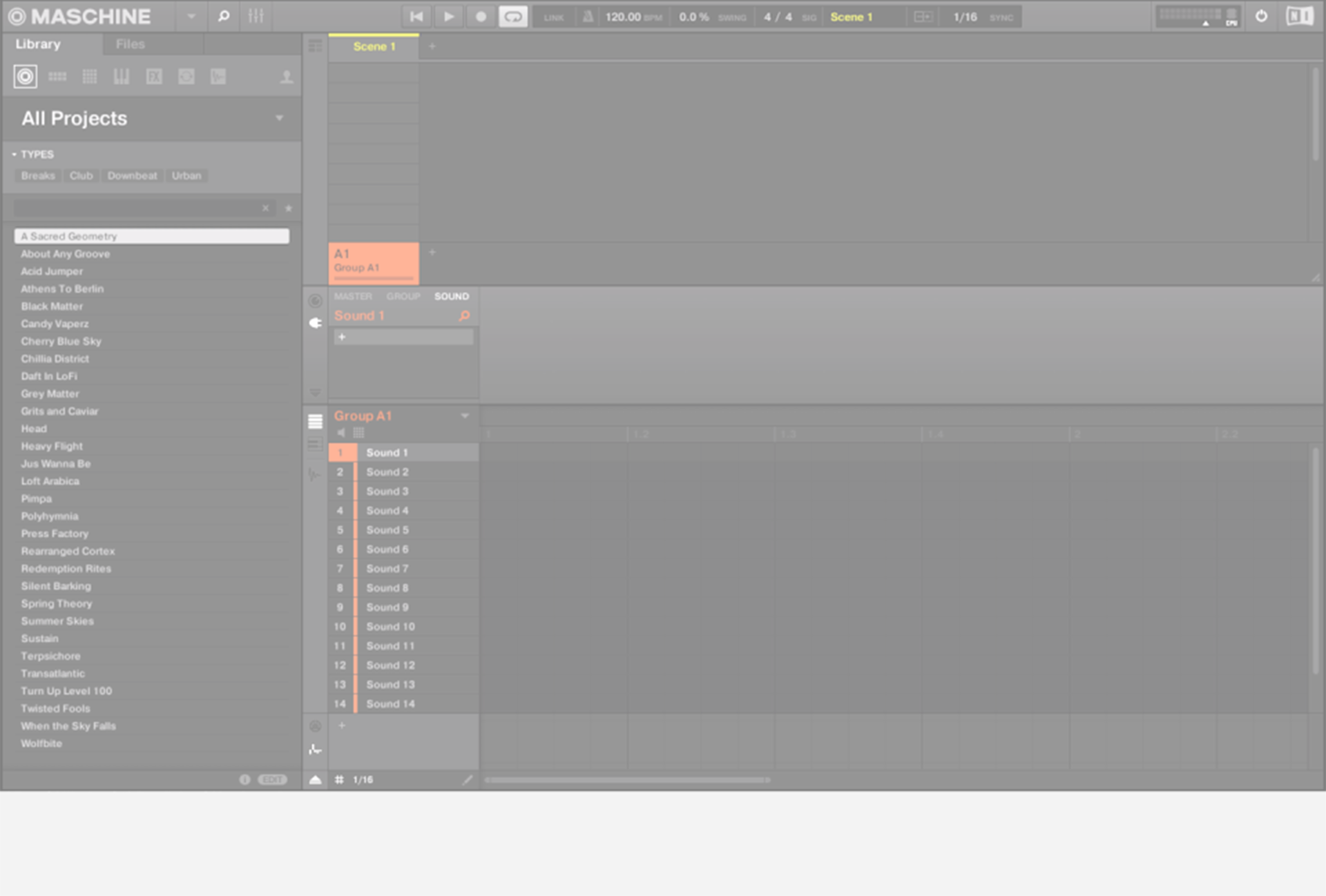 Playing a Project