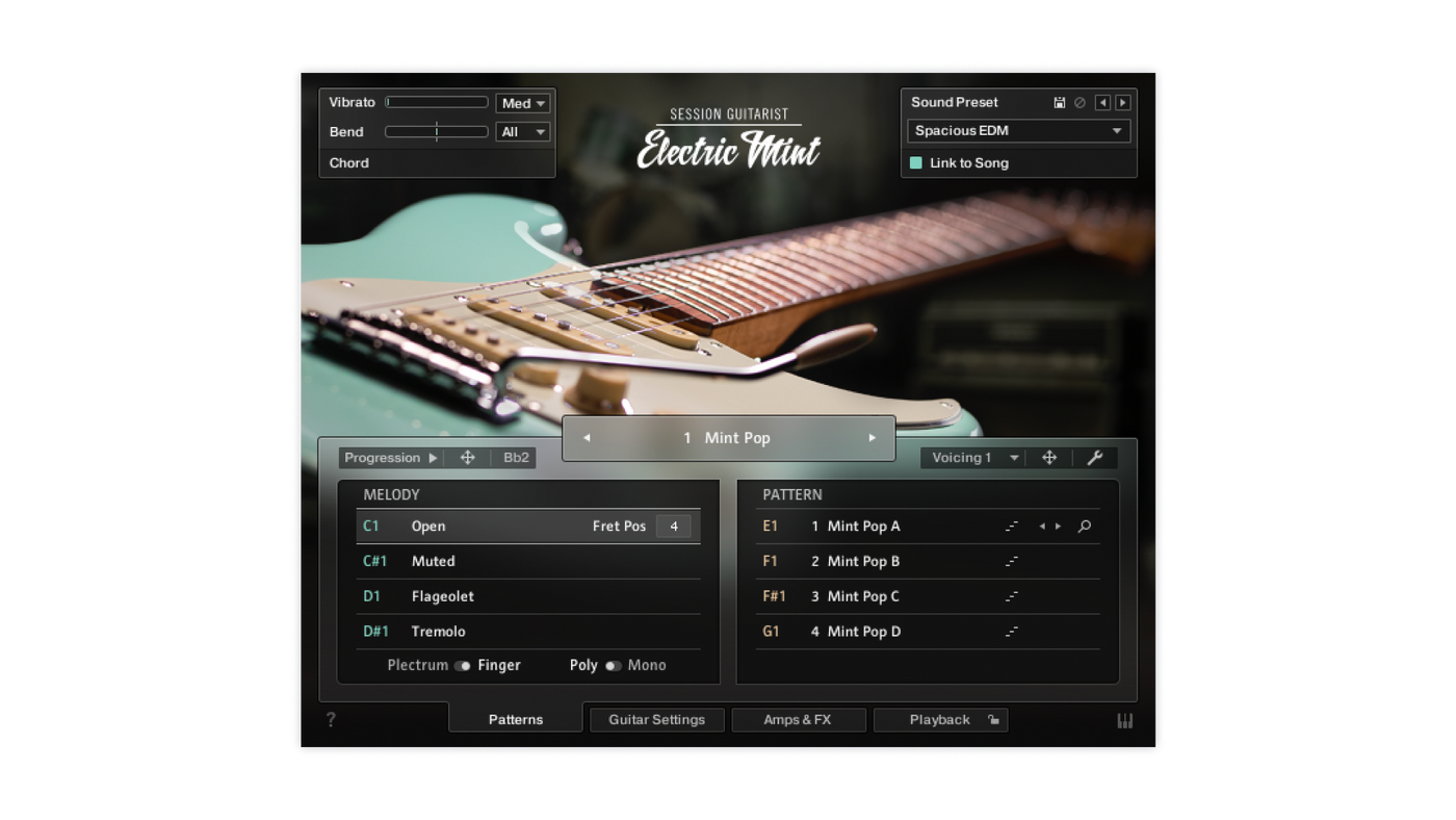 Session Guitarist - Electric Mint