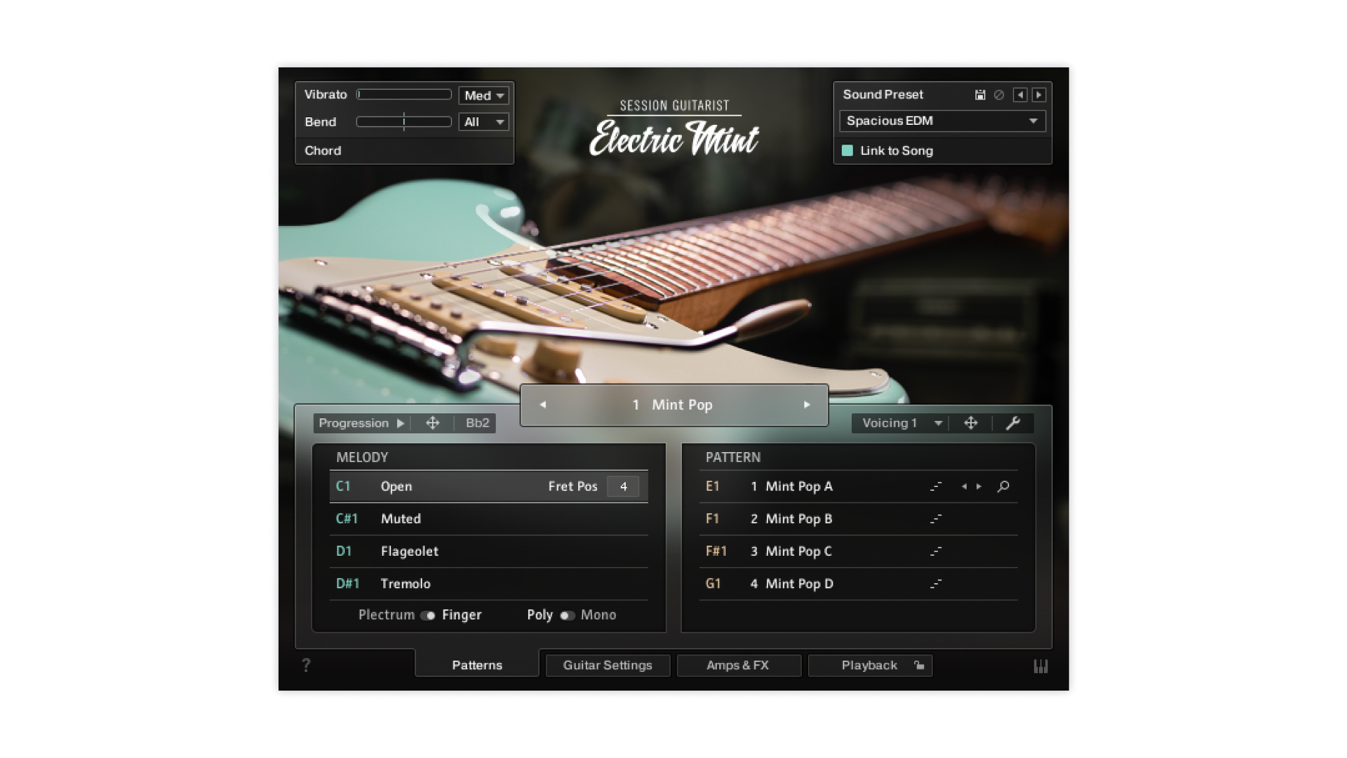 Session Guitarist - Electric Mint