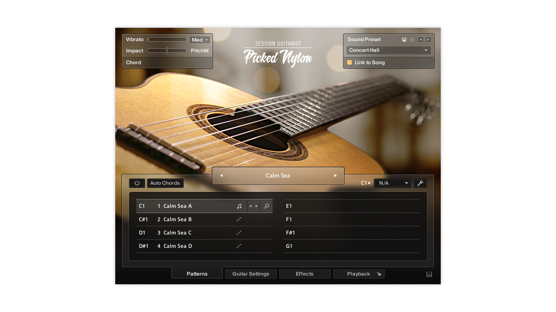 SESSION GUITARIST – PICKED NYLON