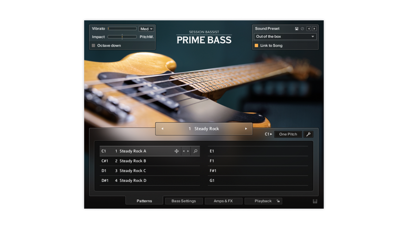 SESSION BASSIST — PRIME BASS
