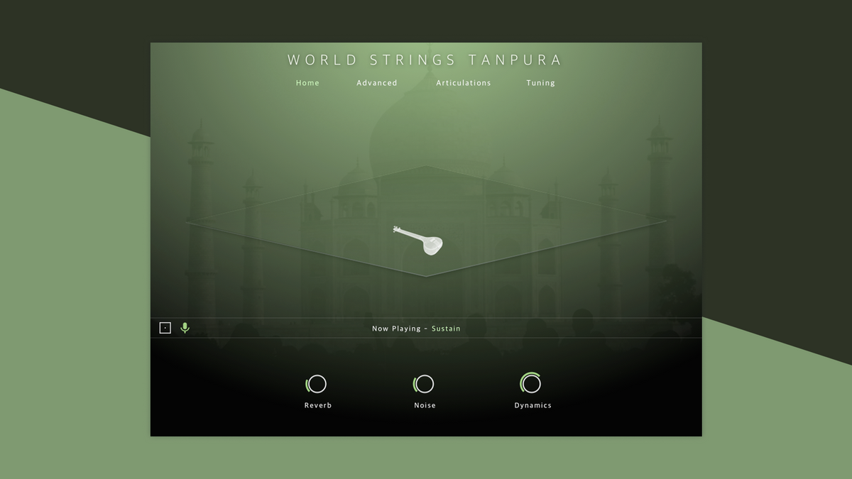 World Strings Tanpura
