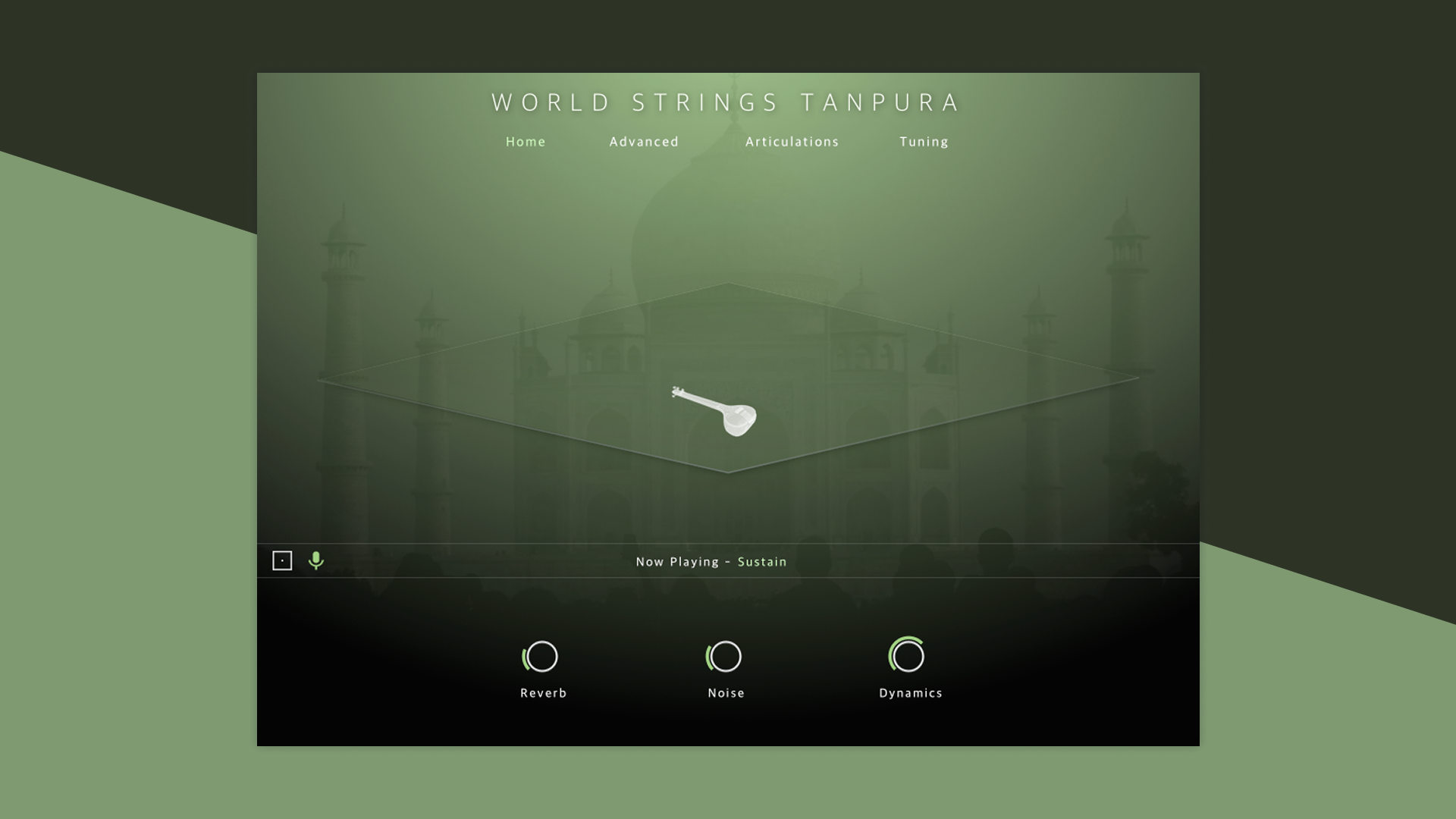 WORLD STRINGS TANPURA