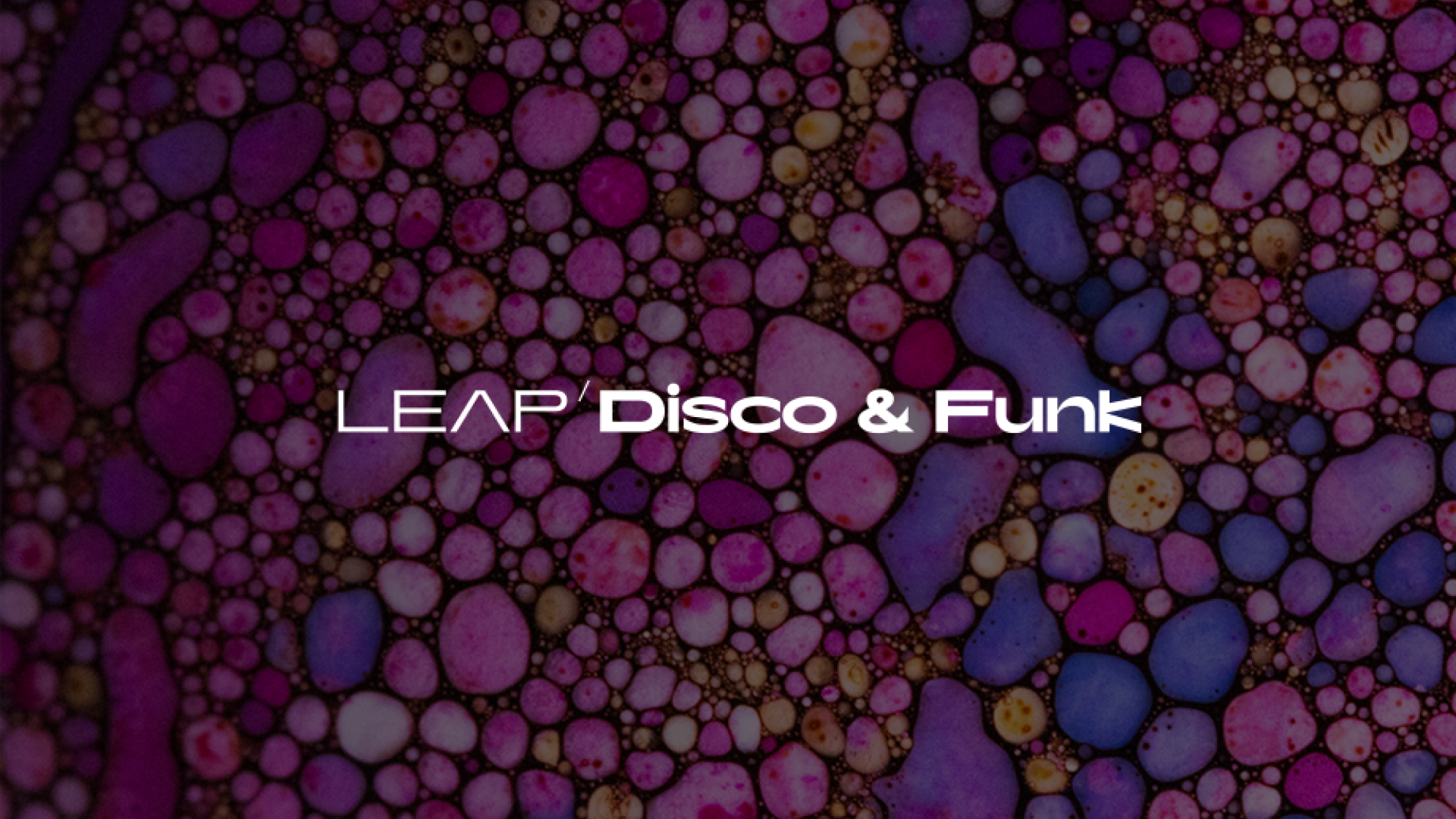 Disco and Funk