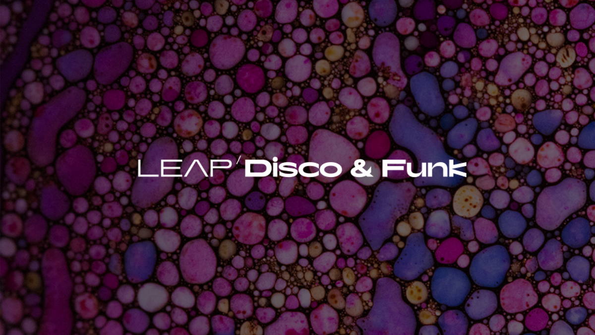 leap-disco-and-funk-featured-image.png