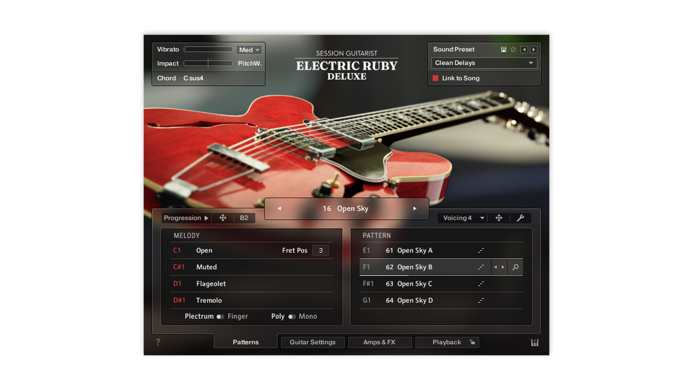 Session Guitarist – Electric Ruby Deluxe