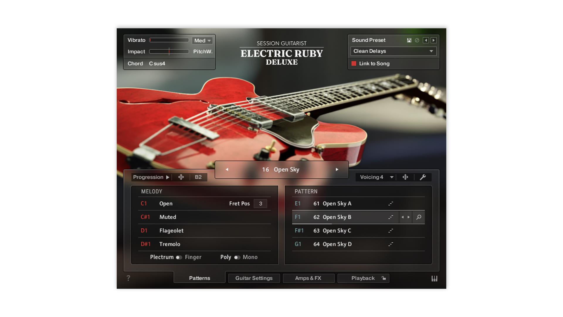 Session Guitarist – Electric Ruby Deluxe