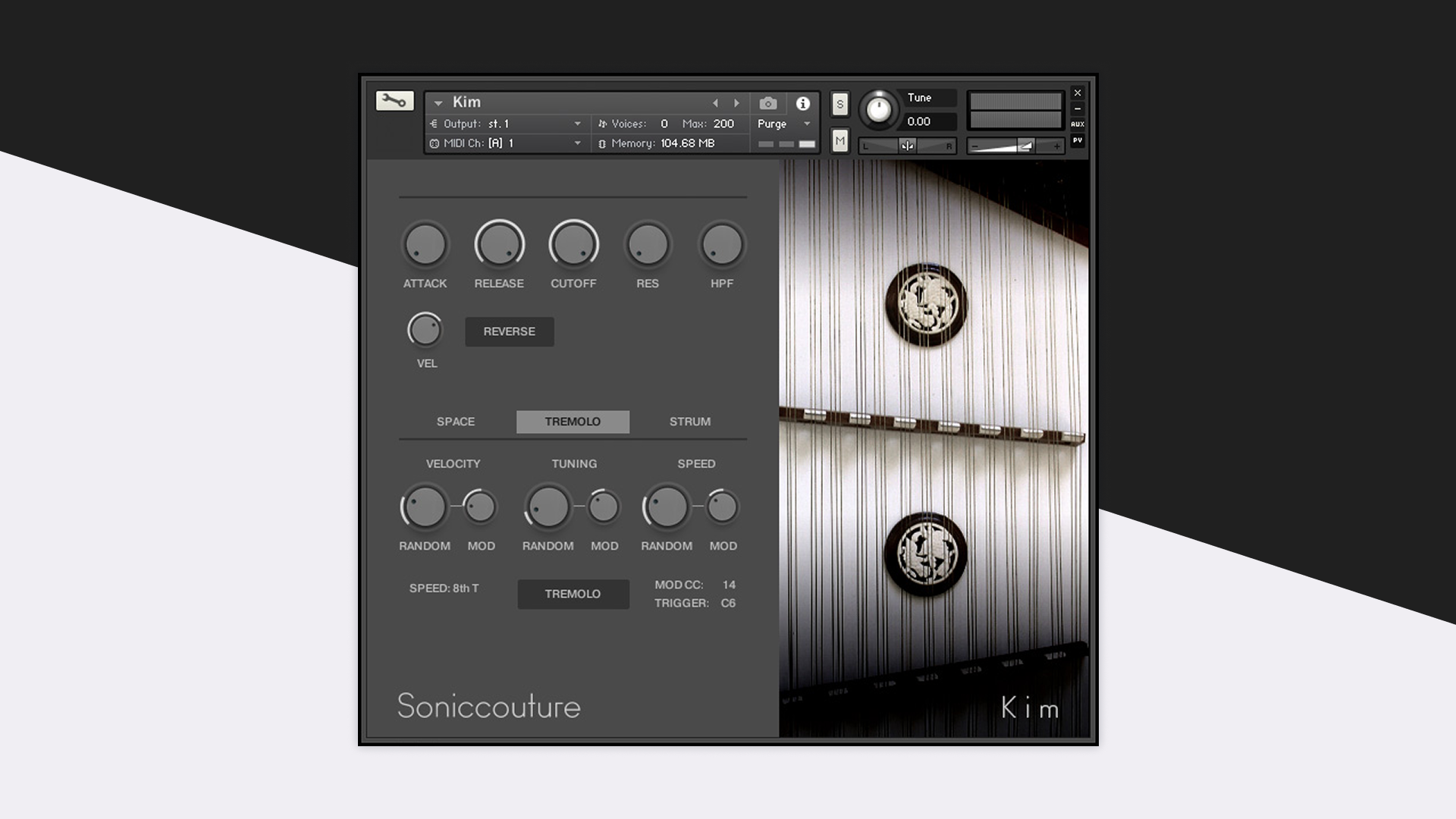 kim-featured-image.png
