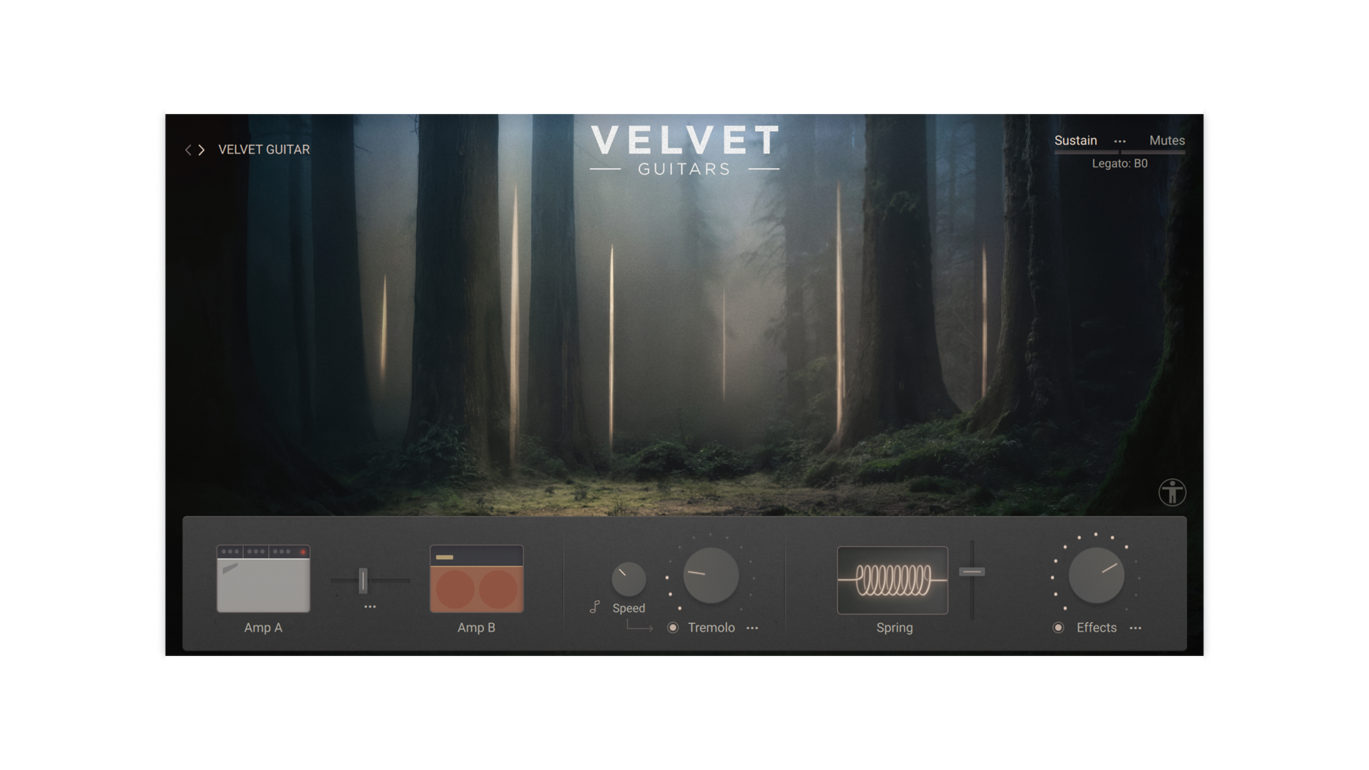 Velvet Guitars