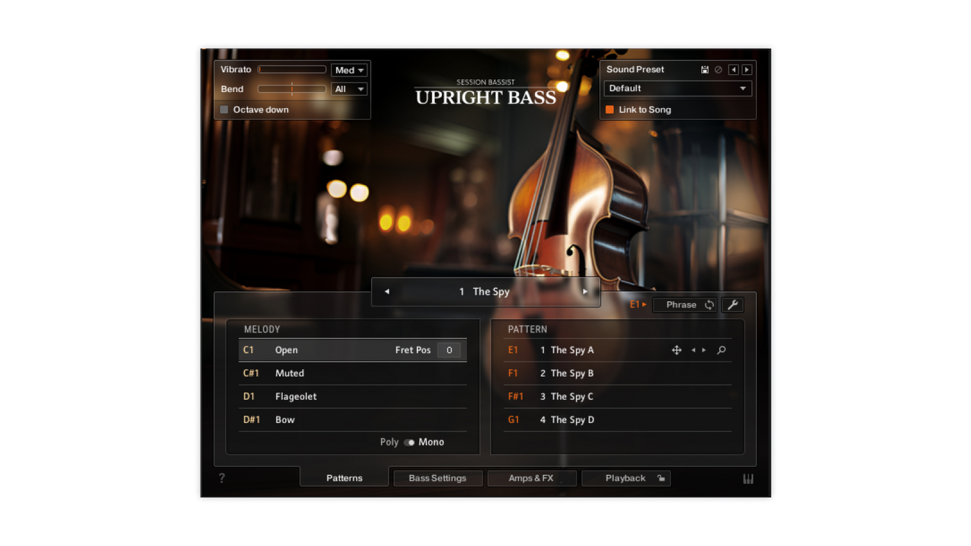 Session Bassist – Upright Bass