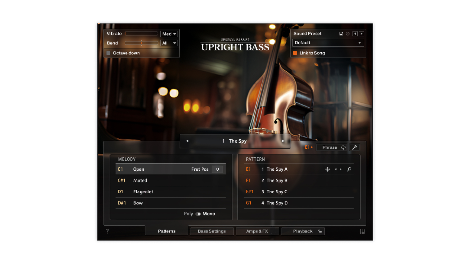 Session Bassist – Upright Bass