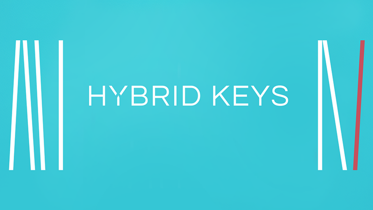 Hybrid Keys
