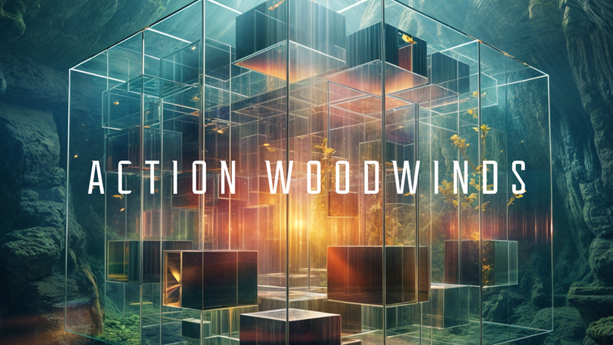 Action Woodwinds