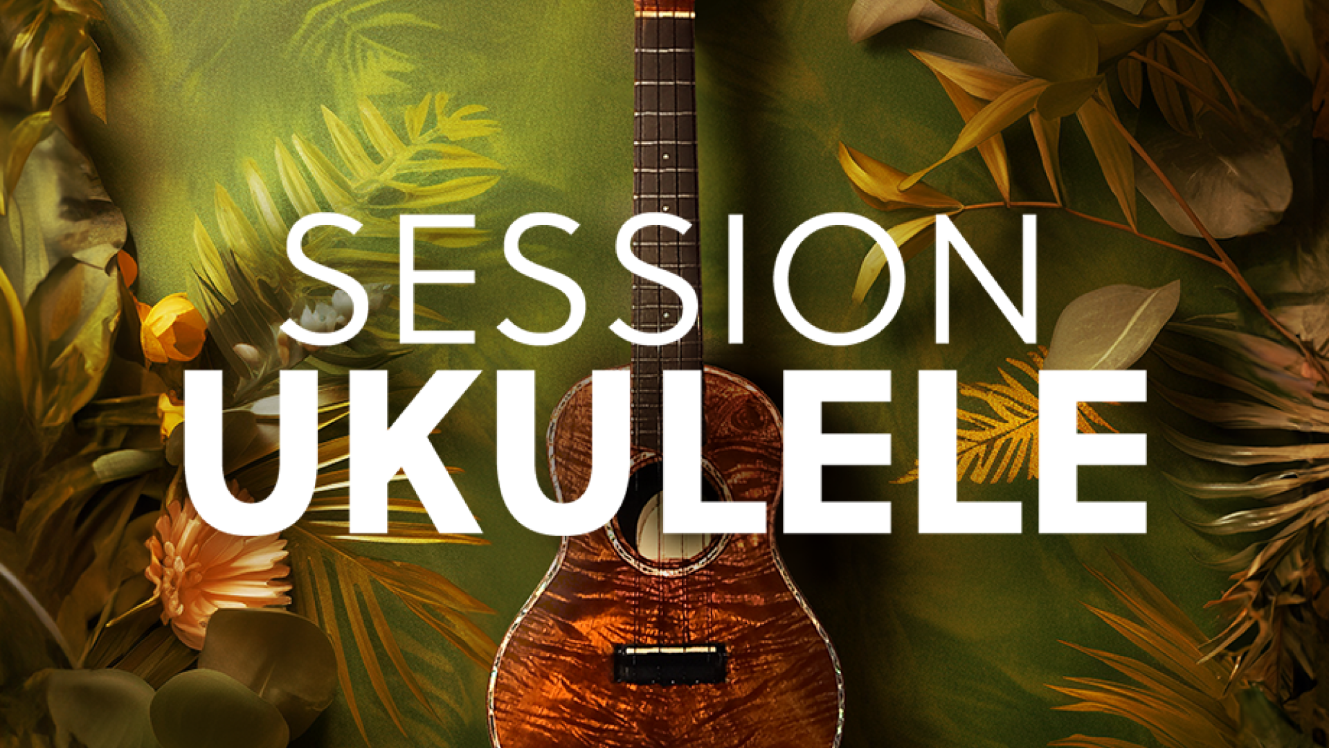 Session Ukulele