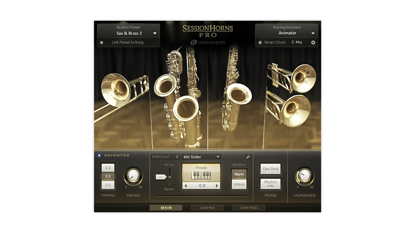 SESSION HORNS PRO
