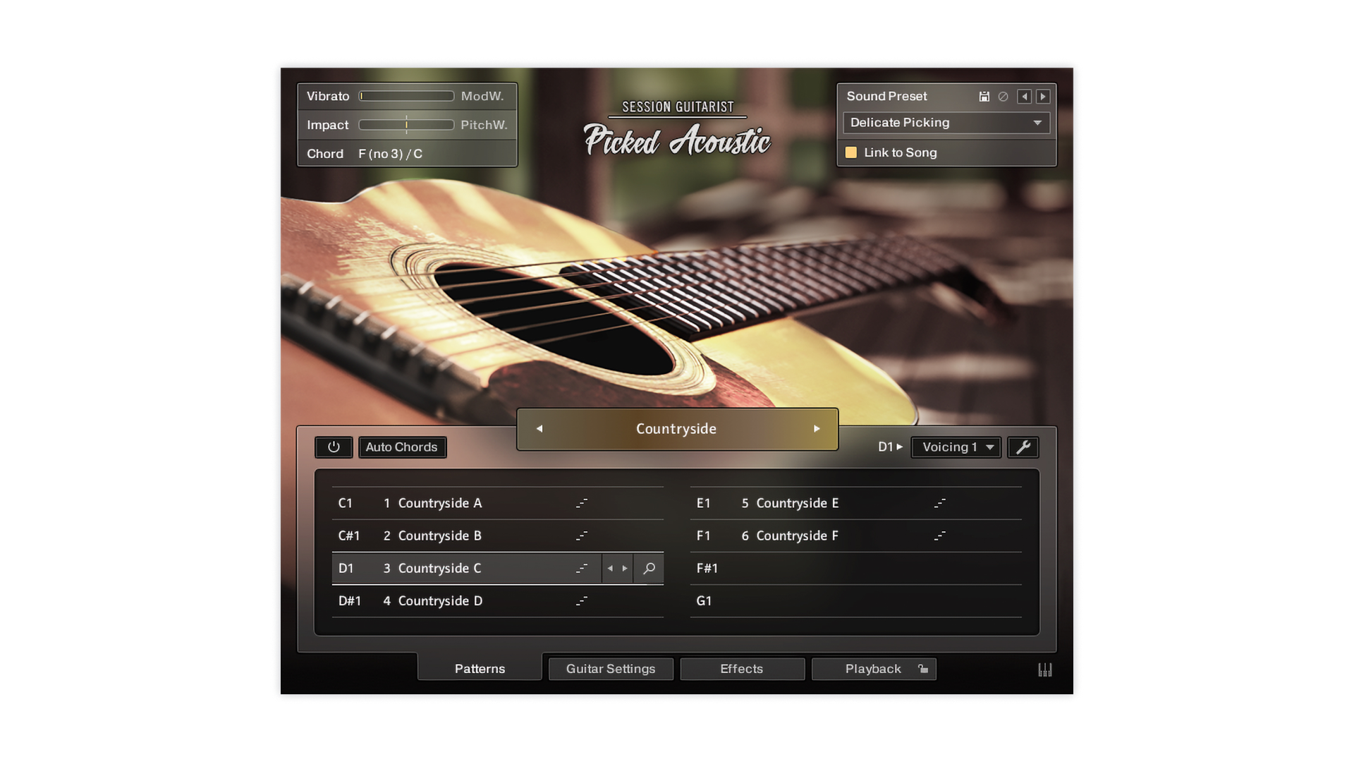 SESSION GUITARIST PICKED ACOUSTIC