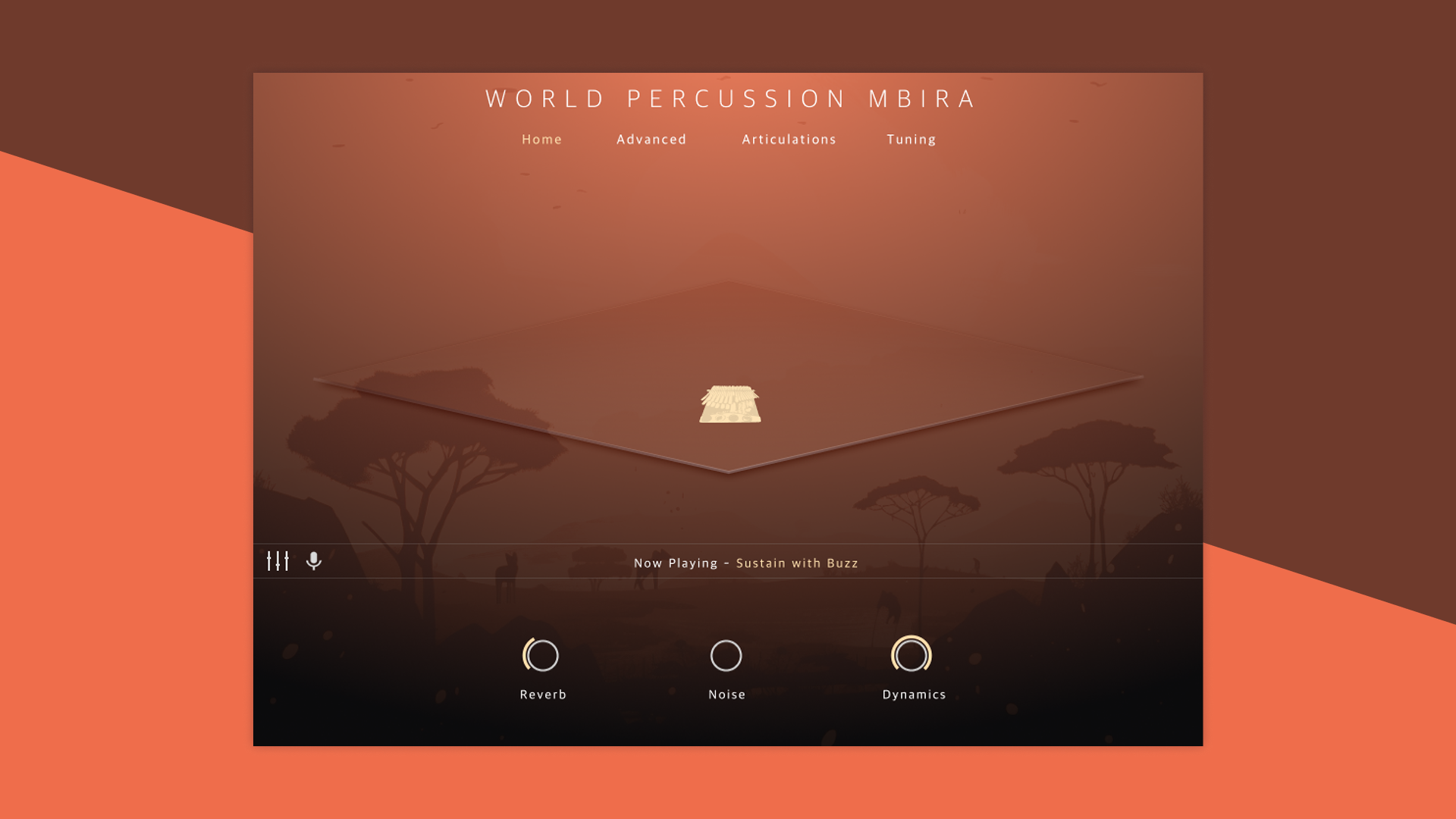 World Percussion Mbira