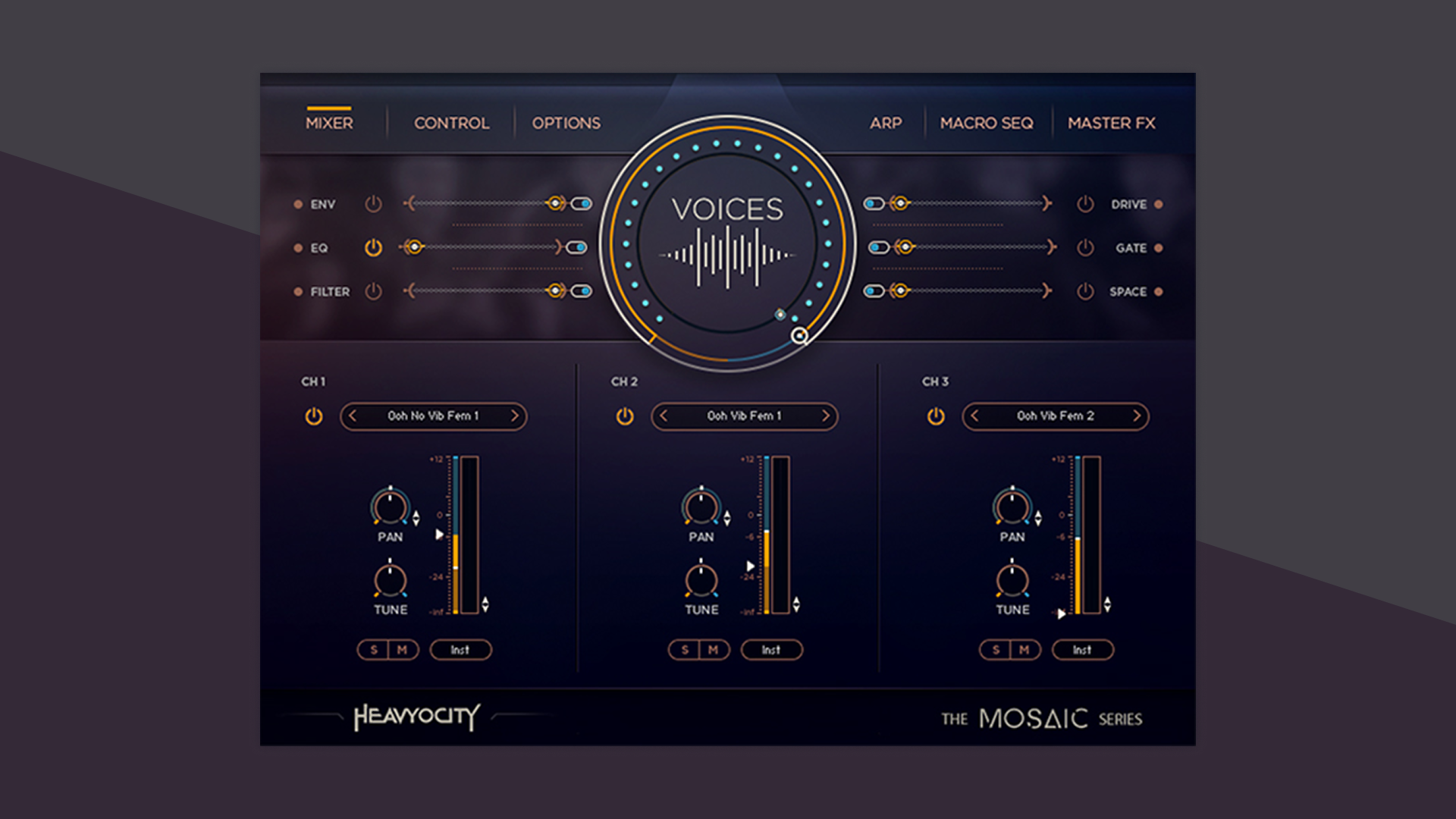 MOSAIC VOICES