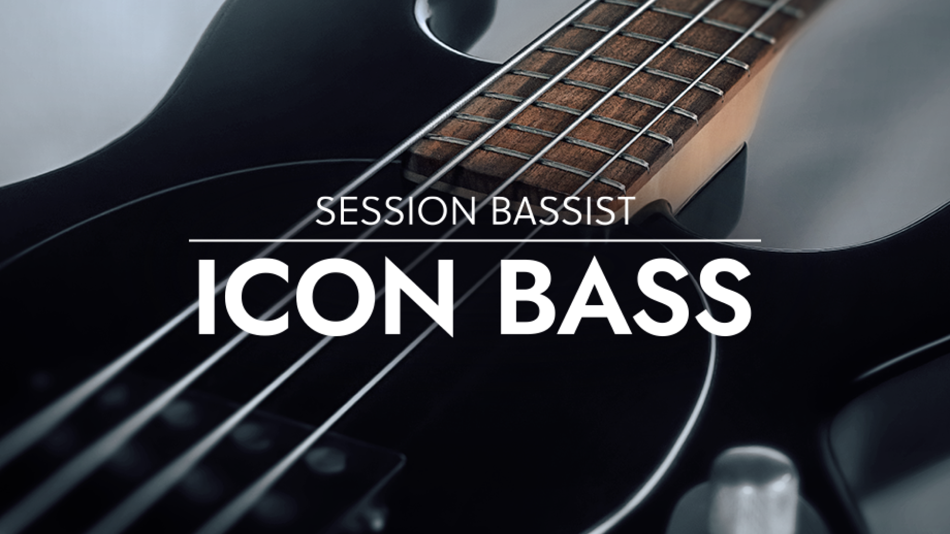 SESSION BASSIST - ICON BASS