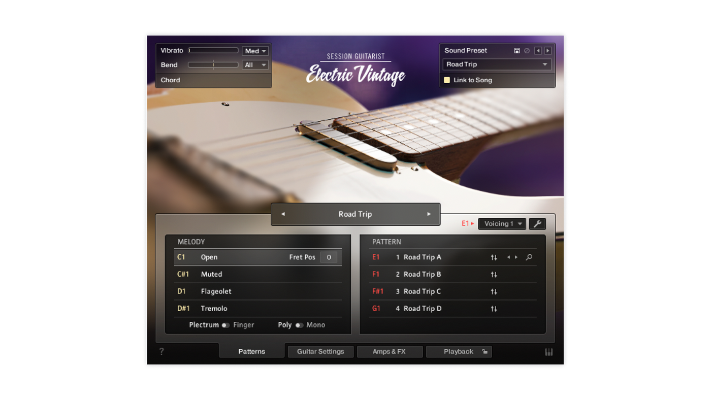 SESSION GUITARIST – ELECTRIC VINTAGE