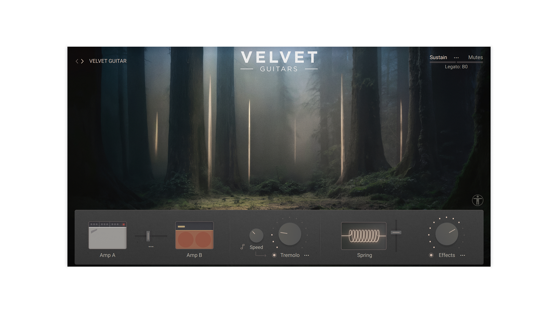 Desolate & Velvet Guitars Bundle