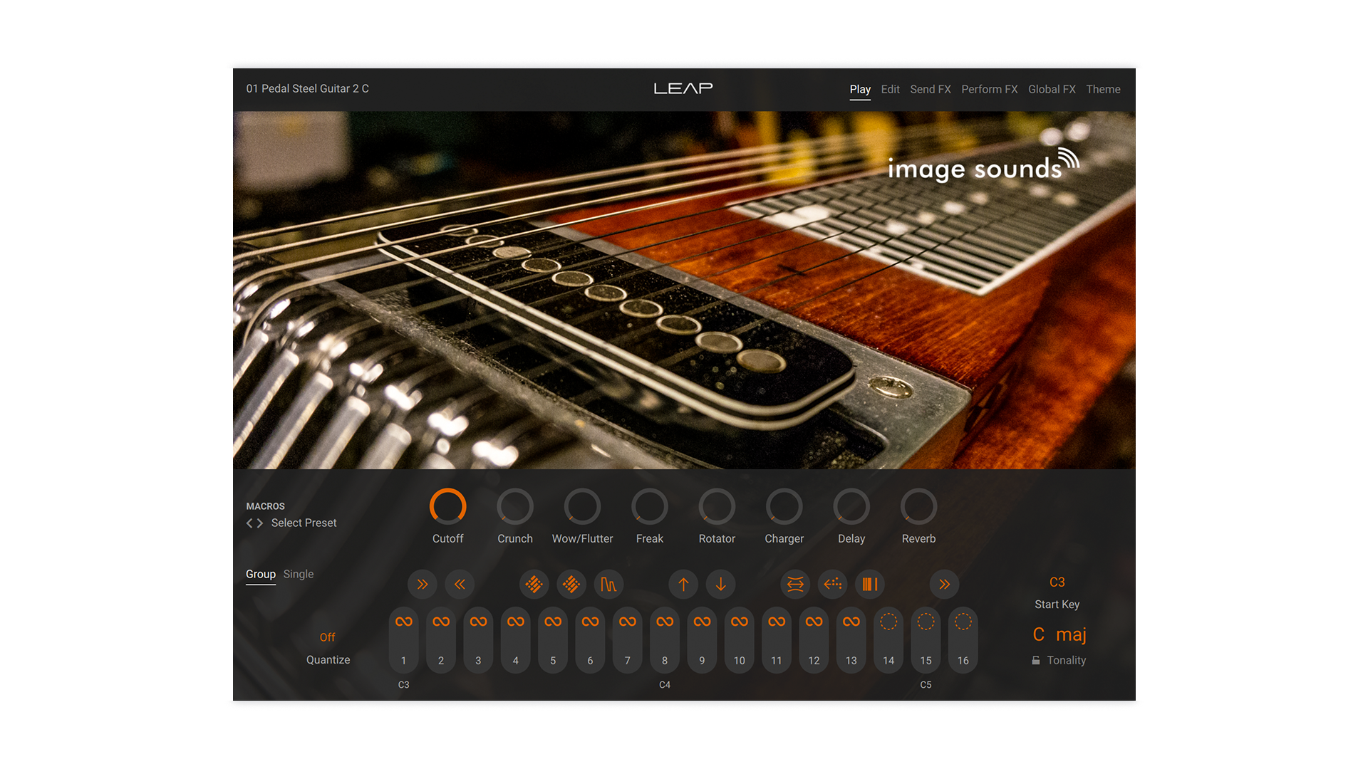 Pedal Steel Guitar 2