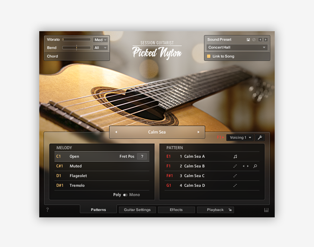 7. Session Guitarist  –  Picked Nylon