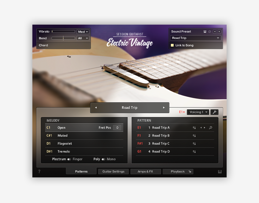 9. Session Guitarist – Electric Vintage