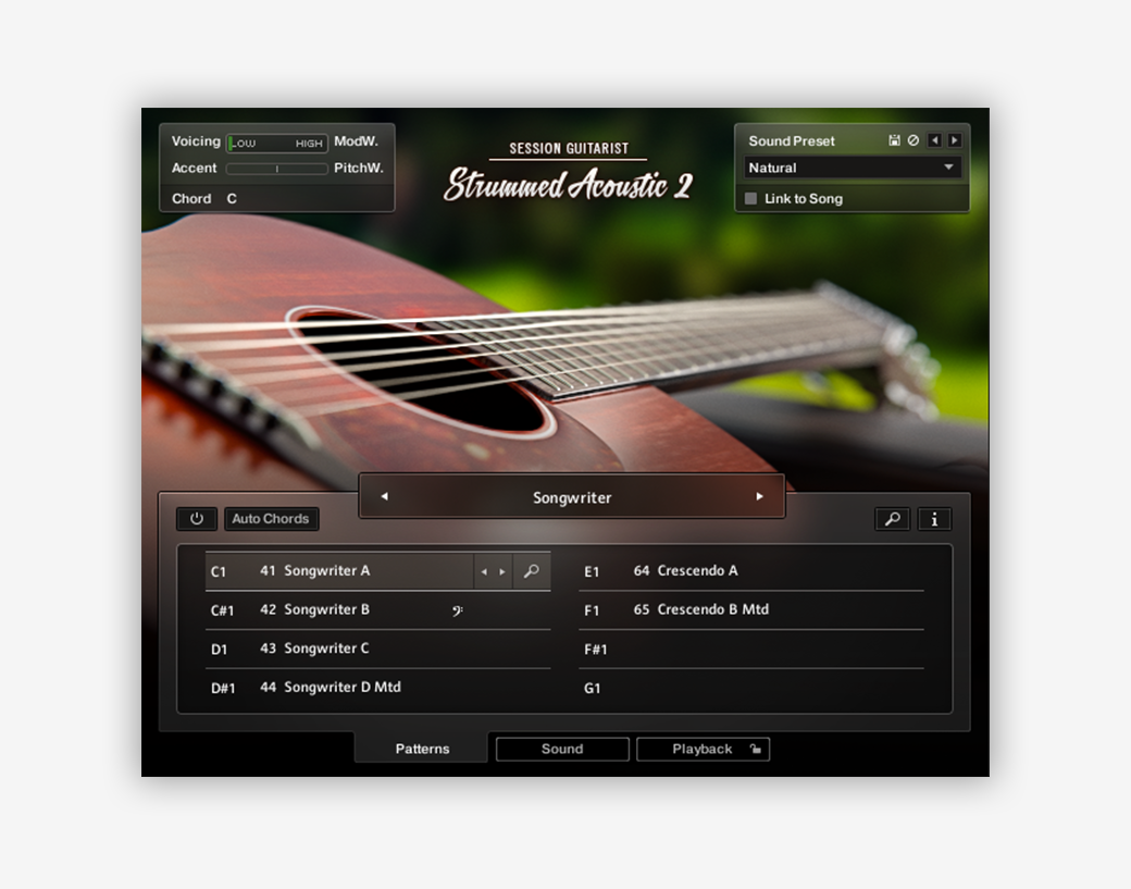 11. Session Guitarist  – Strummed Acoustic 2