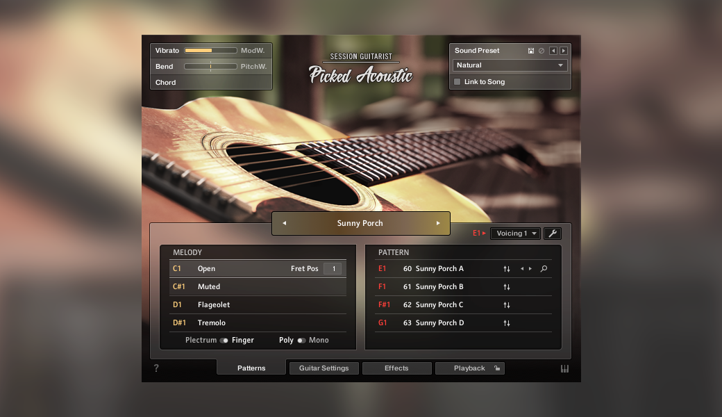 SESSION GUITARIST – PICKED ACOUSTIC