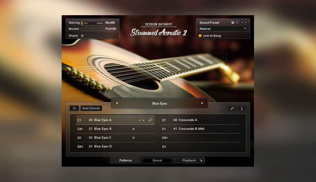 SESSION GUITARIST – STRUMMED ACOUSTIC 2