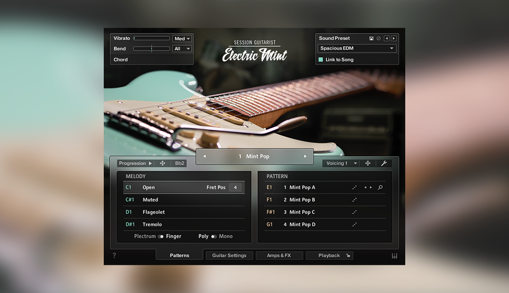 SESSION GUITARIST - ELECTRIC MINT