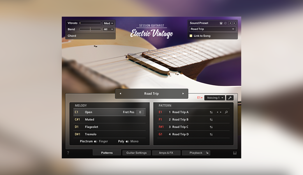 SESSION GUITARIST – ELECTRIC VINTAGE