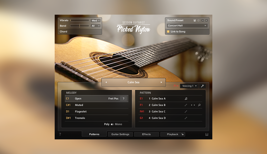 SESSION GUITARIST – PICKED NYLON