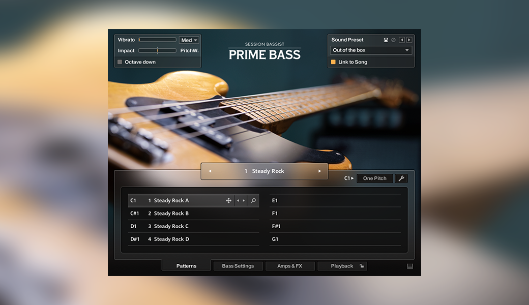 SESSION BASSIST – PRIME BASS