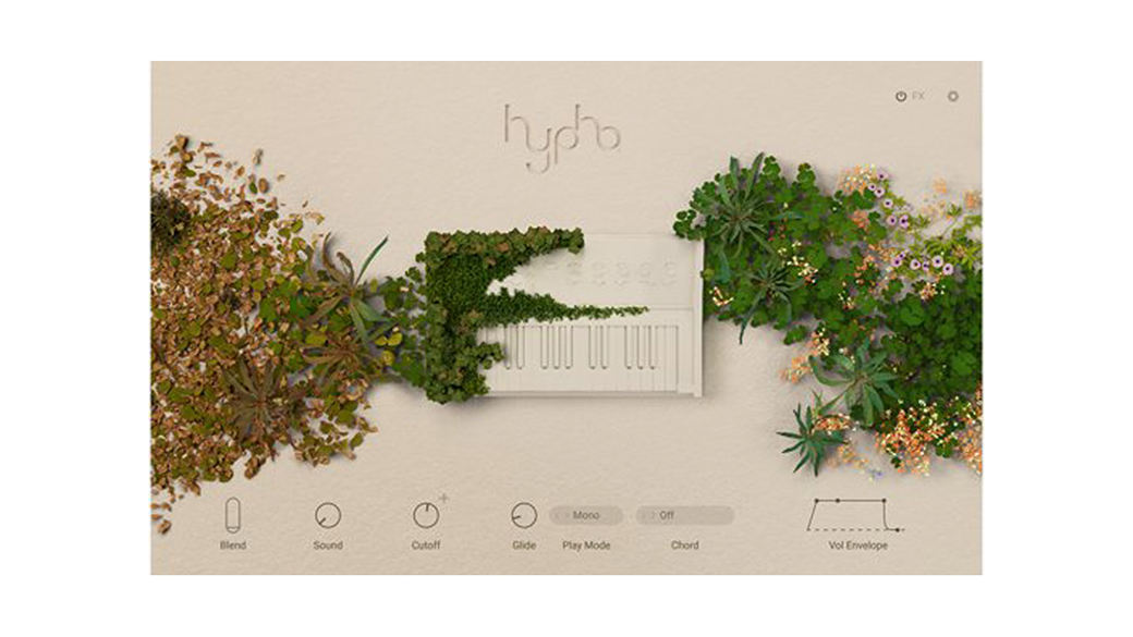 Hypha