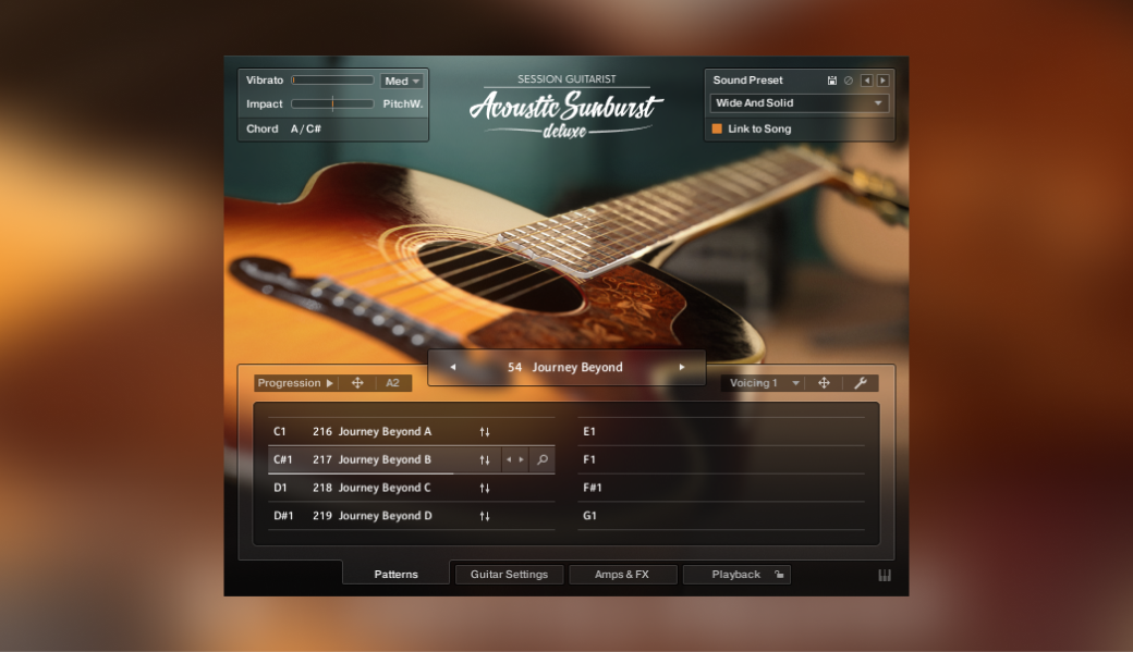 Session Guitarist – Acoustic Sunburst Deluxe