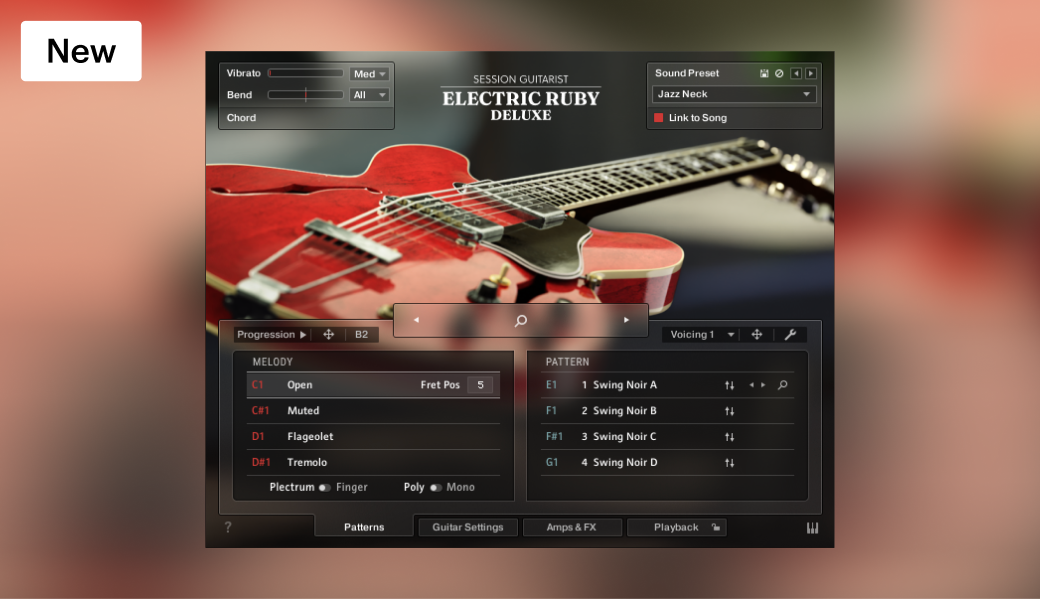 Session Guitarist – Electric Ruby Deluxe