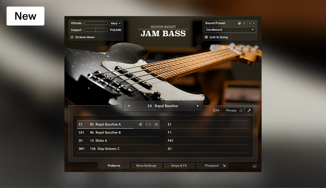 Session Bassist – Jam Bass