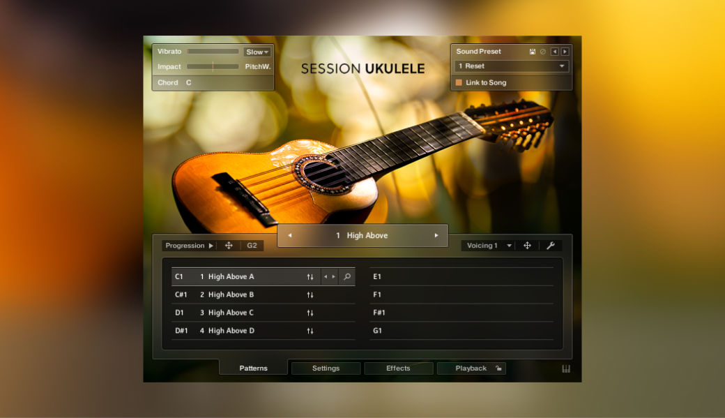 Session Ukulele