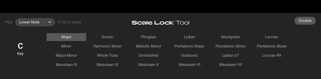 Scale Lock
