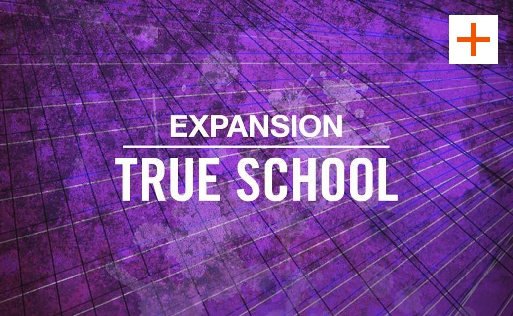 TRUE SCHOOL