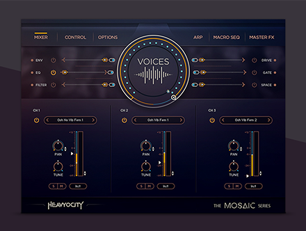 Mosaic Voices