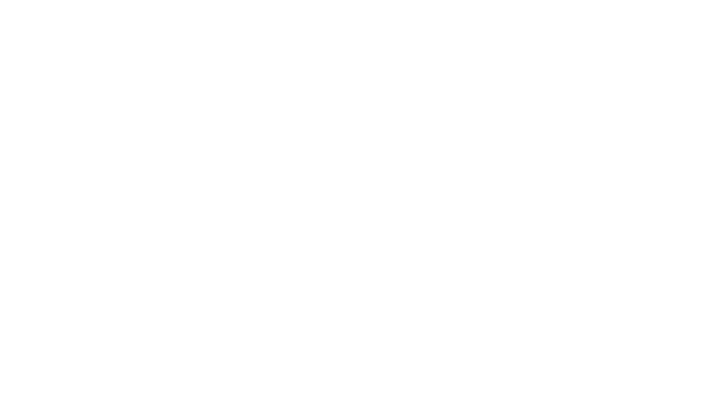 ENTWICKELT IN ZUSAMMENARBEIT MIT GALAXY INSTRUMENTS