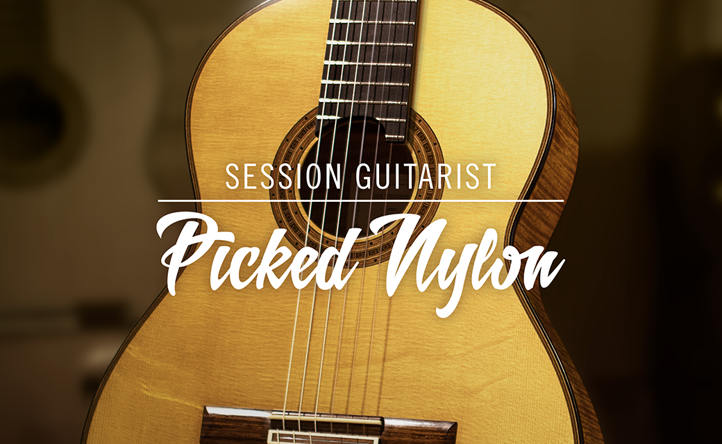 SESSION GUITARIST – PICKED NYLON