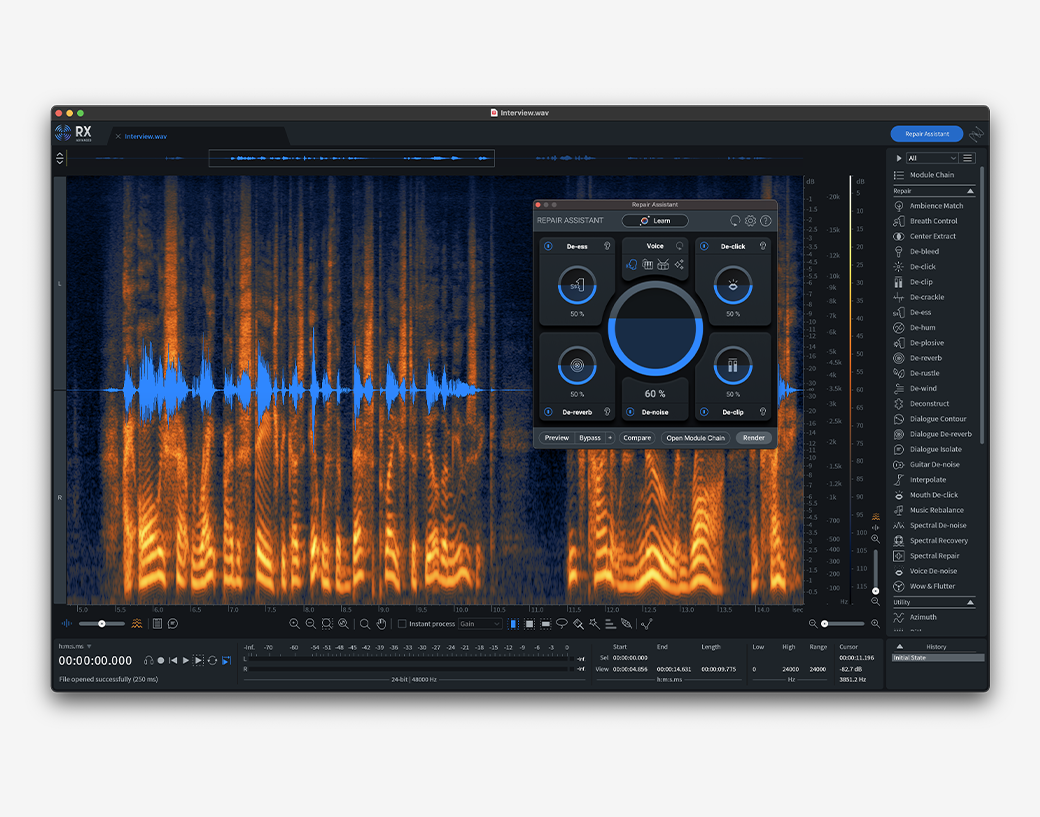 iZotope RX Standard or Advanced