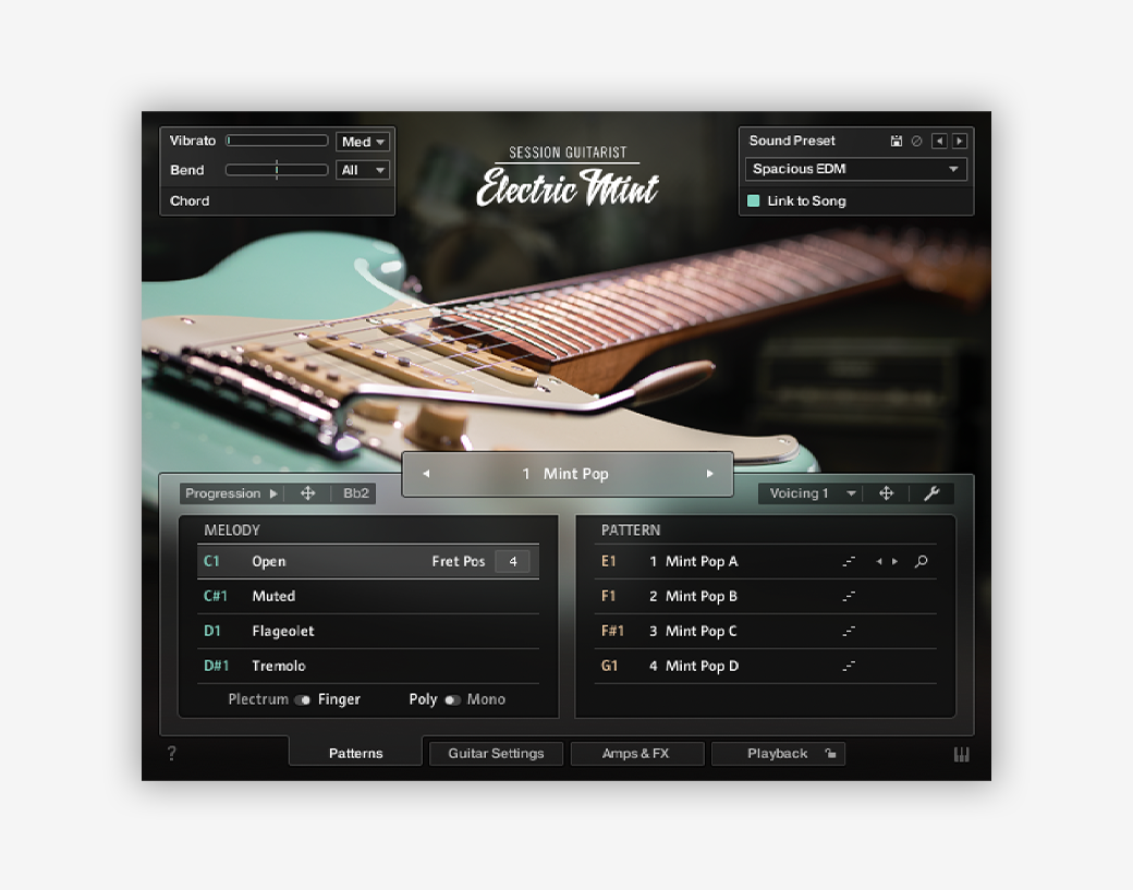 15. Session Guitarist: Electric Mint