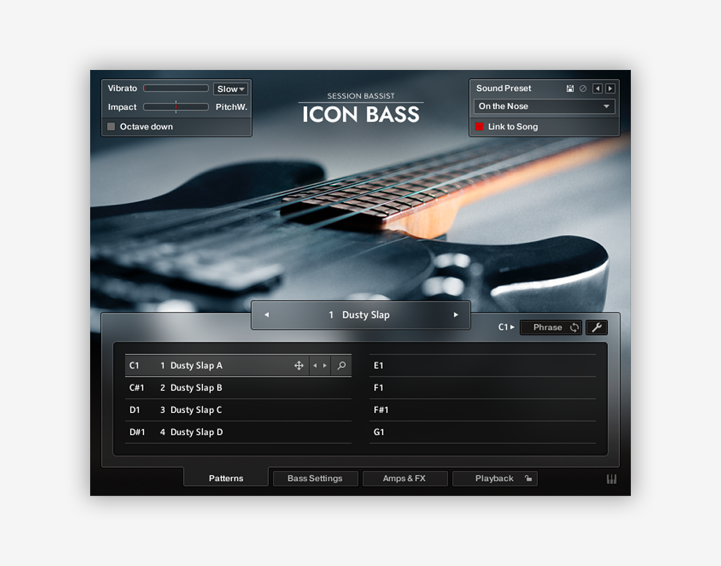 16. Session Bassist: Icon Bass