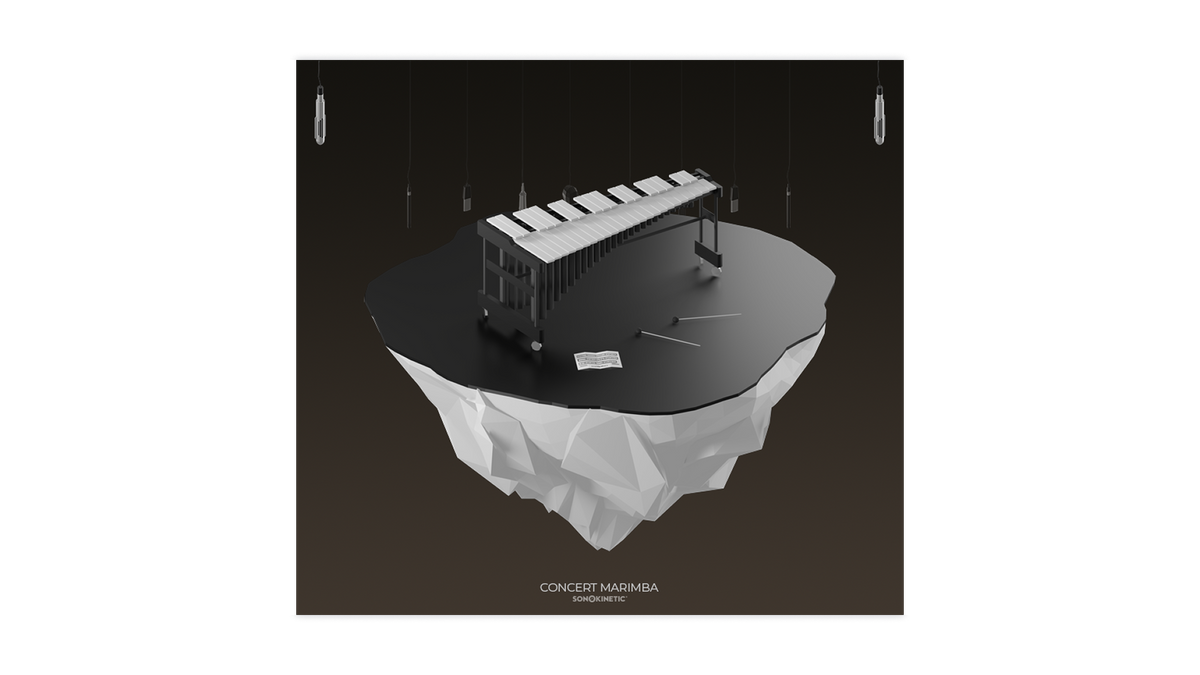 Idiophones - Carousel Image 4